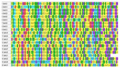 Genome-wide dissection of AT-hook motif nuclear-localized gene family and their expression profiling for drought and salt stress in rice (Oryza sativa)
